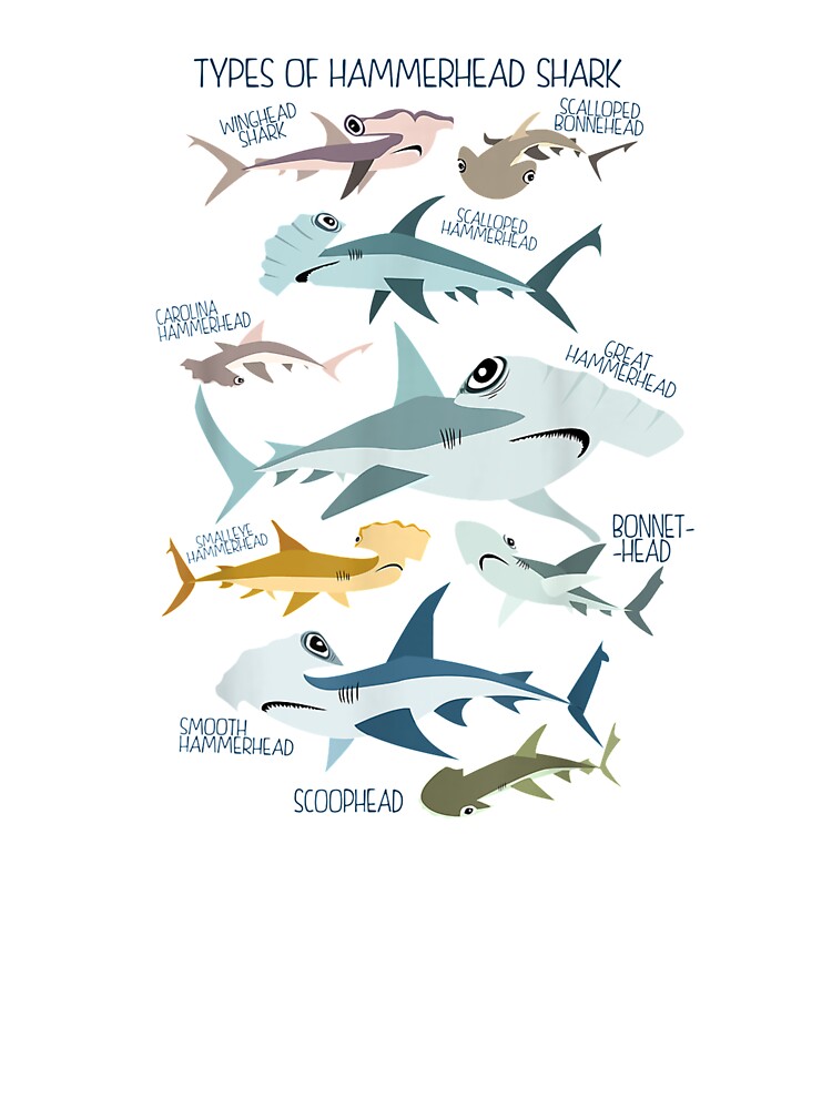 types of HAMMERHEAD shark guide | Kids T-Shirt
