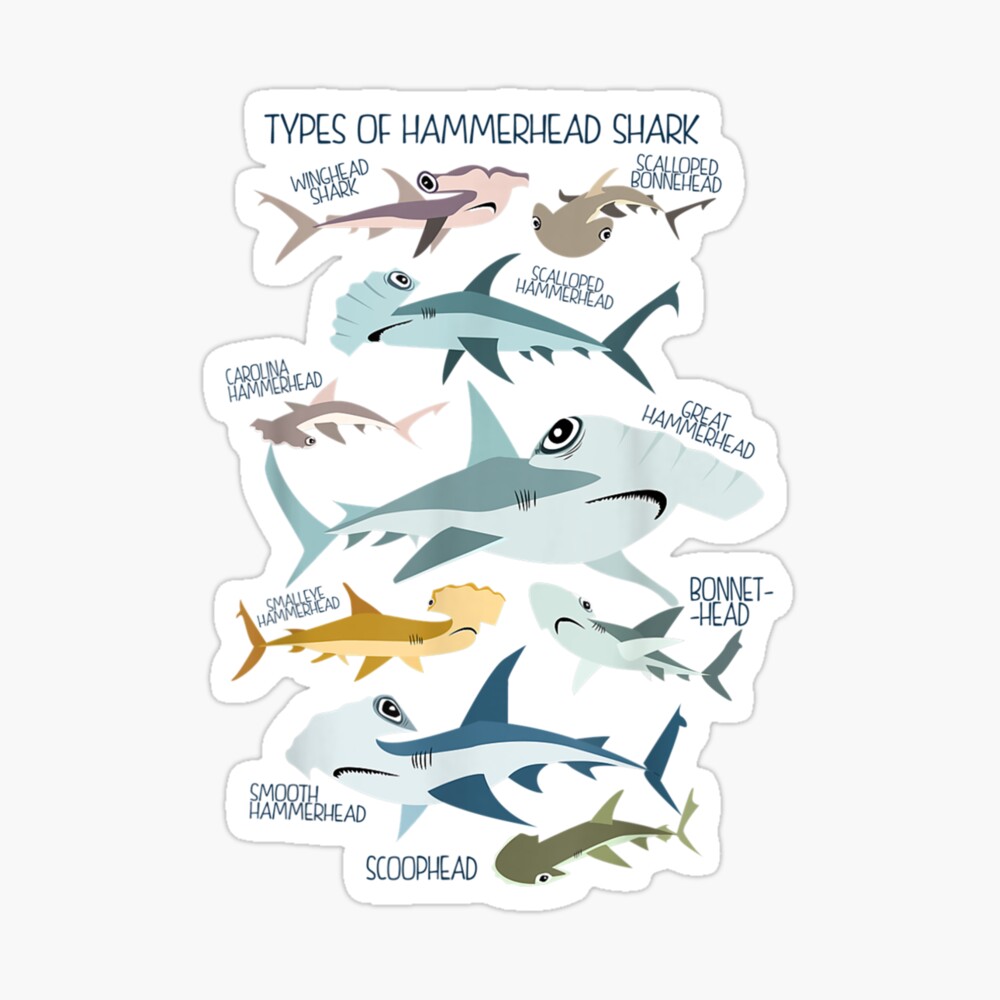 types of HAMMERHEAD shark guide Kids T-Shirt for Sale by