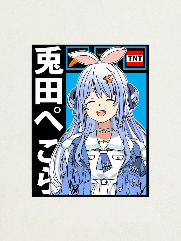 トップス vaultroom USADA PEKORA L/S TEE XL vaultroom × Usada Pekora – VAULTROOM