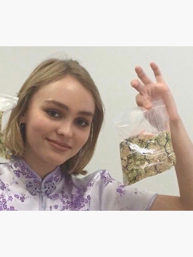 "lilyrose depp bags" Sticker for Sale by girlblogger2008 Redbubble