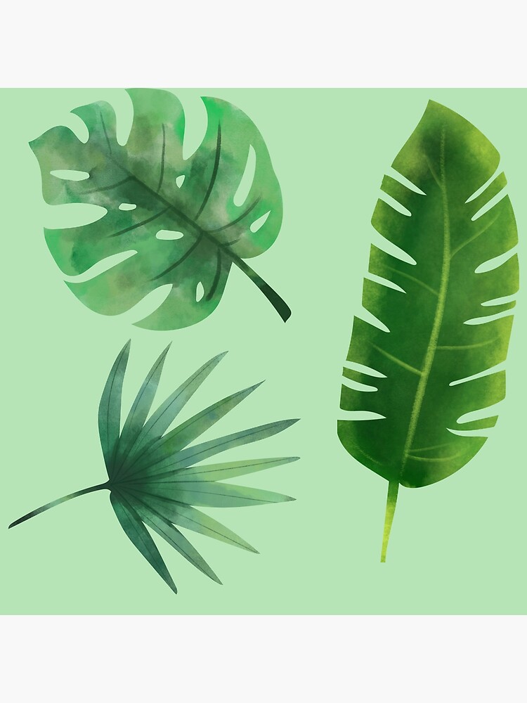 leaves-different-types-of-leaves-green-poster-for-sale-by