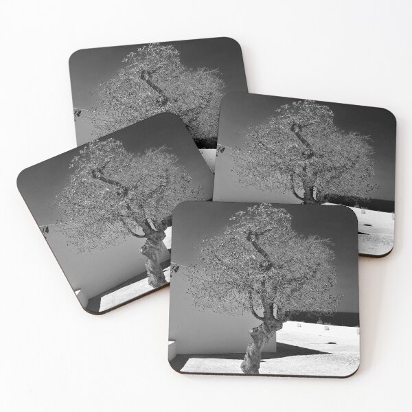 Item preview, Olive Tree Nossa Senhora da Rocha Porches Algarve Portugal designed and sold by AndyEvansPhotos.