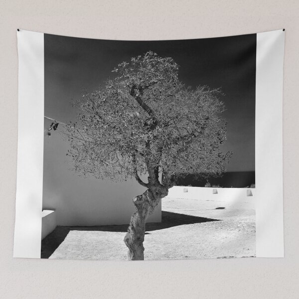 Item preview, Olive Tree Nossa Senhora da Rocha Porches Algarve Portugal designed and sold by AndyEvansPhotos.