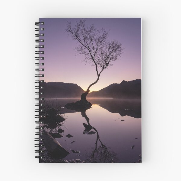 Item preview, Sunrise at the Llanberis Lonely Tree designed and sold by neonlightphoto.