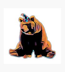 Birthday Bear Photographic Print