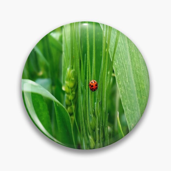 Item preview, Ladybug on green wheat - Nature photography - giftcard, art board print, Hardcover Journals, Wood & Canvas Mounted Prints designed and sold by SpiralStairShop.