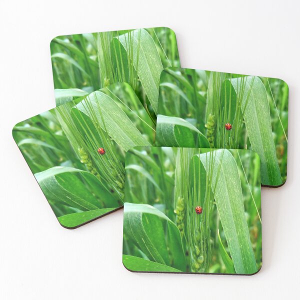 Item preview, Ladybug on green wheat - Nature photography - giftcard, art board print, Hardcover Journals, Wood & Canvas Mounted Prints designed and sold by SpiralStairShop.