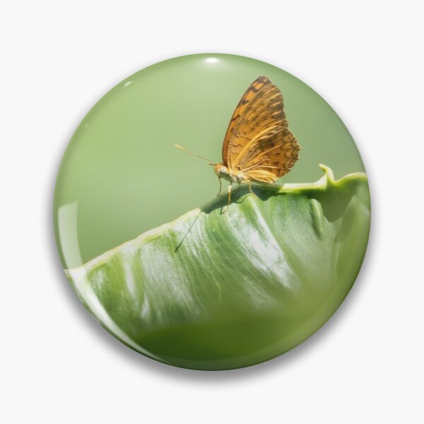 Item preview, Angled Castor Butterfly designed and sold by Natural-Arts.