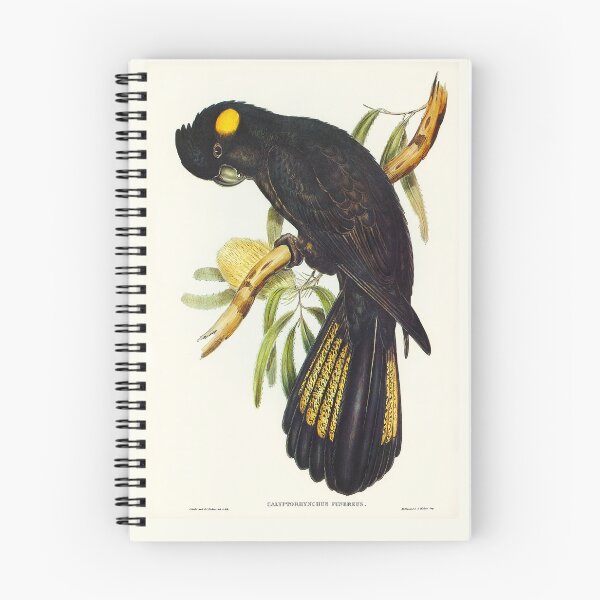 Item preview, Black Cockatoo  designed and sold by Go Logo Designs.