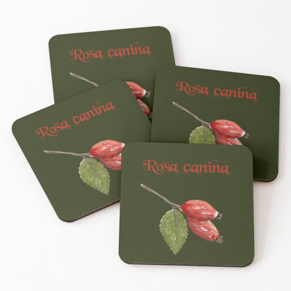 Item preview, Rosa canina - Rosehip designed and sold by simh.
