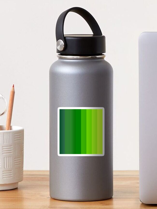 Water Bottle Stainless Steel Green Stripes