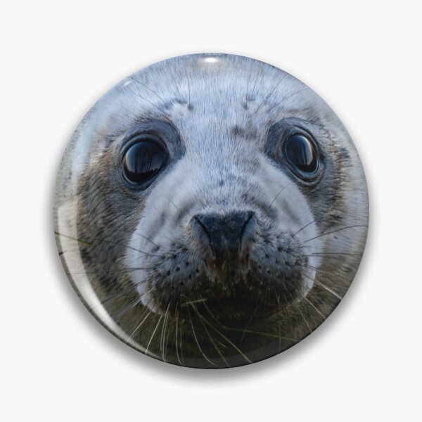 Item preview, Grey Seal Pup - Donna Nook designed and sold by Shot-By-Reedy.