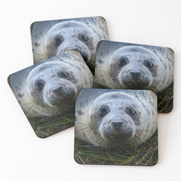 Item preview, Grey Seal Pup - Donna Nook designed and sold by Shot-By-Reedy.