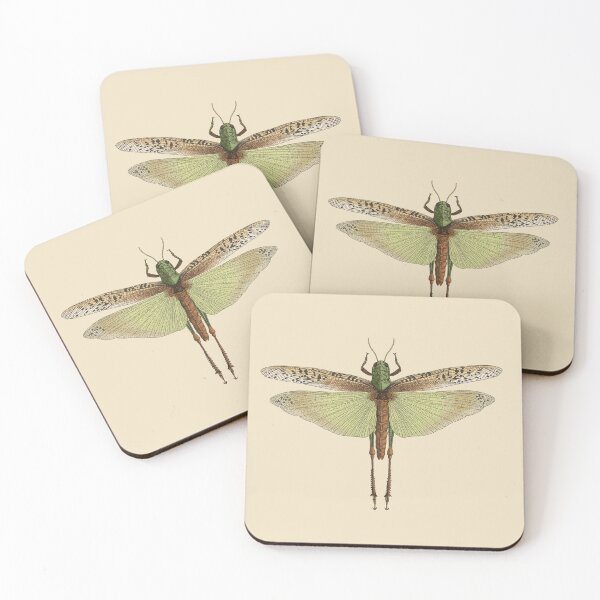 Item preview, Asian Migratory Locust designed and sold by LeoXiang.