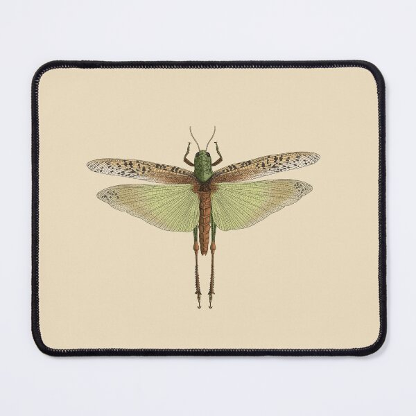 Item preview, Asian Migratory Locust designed and sold by LeoXiang.