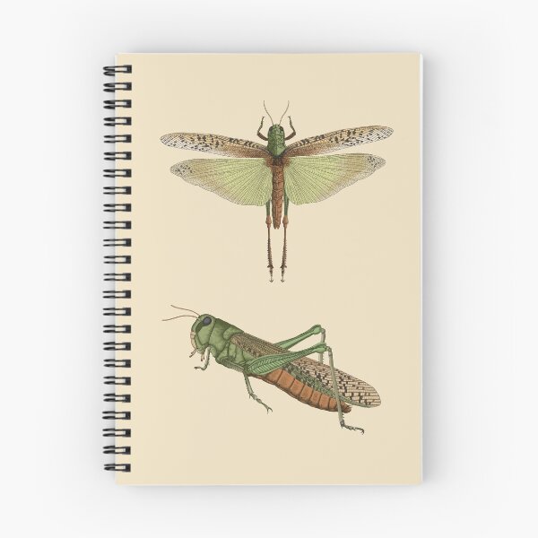 Item preview, Asian Migratory Locust designed and sold by LeoXiang.