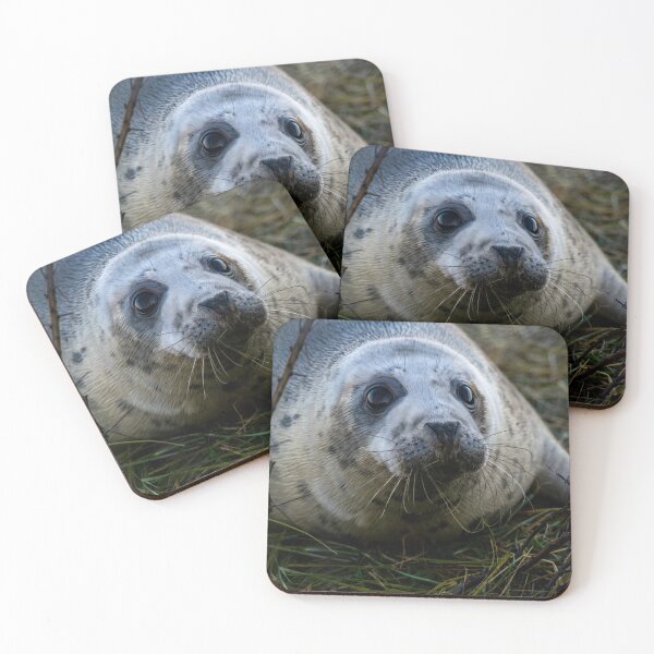 Item preview, Grey Seal Pup 2 designed and sold by Shot-By-Reedy.