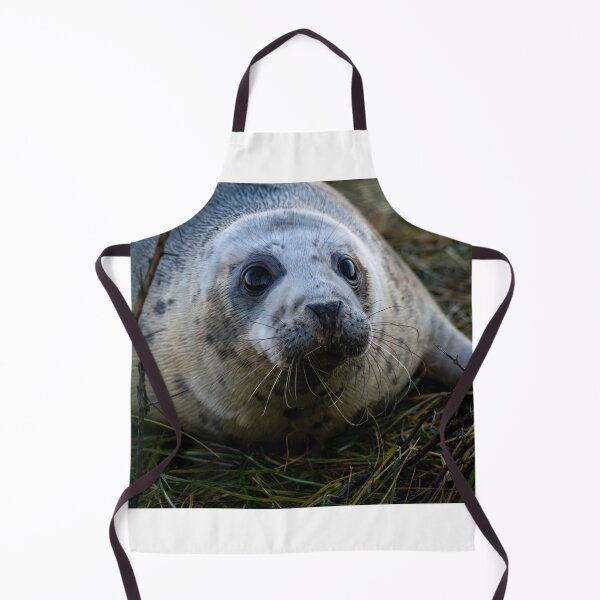 Item preview, Grey Seal Pup 2 designed and sold by Shot-By-Reedy.