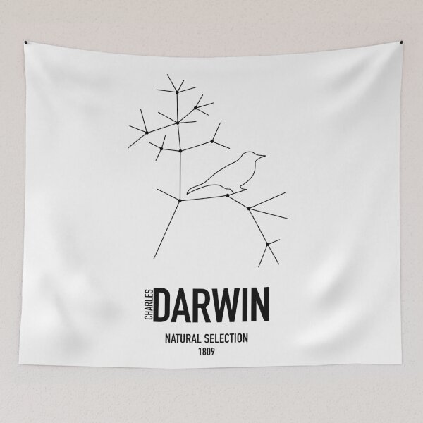 Item preview, Darwin designed and sold by Negative  Space.