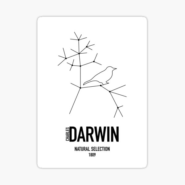 Item preview, Darwin designed and sold by Negative  Space.
