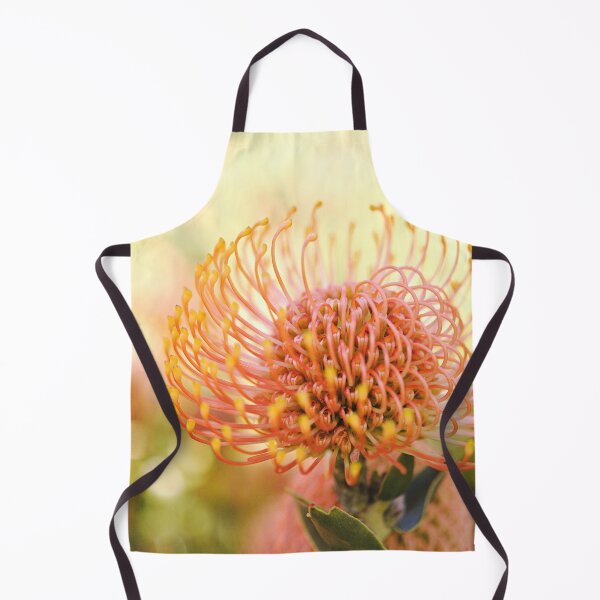 Item preview, Nature's Beautiful Nodding Pincushion - Leucospermum cordifolia designed and sold by imaginethis.