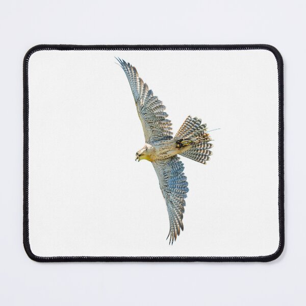 Item preview, Pause before the stoop designed and sold by Dalyndigital Photography.