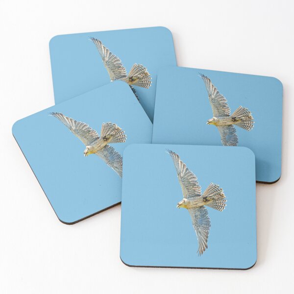 Item preview, Pause before the stoop designed and sold by Dalyndigital Photography.