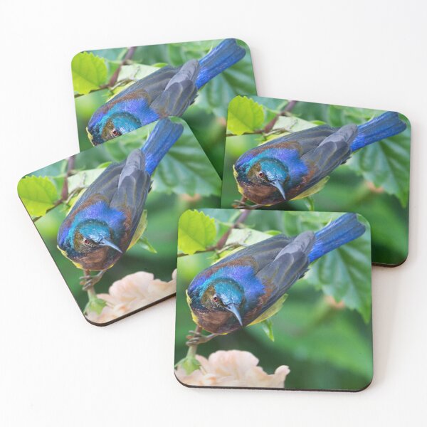 Item preview, Brown-throated Sunbird designed and sold by Natural-Arts.