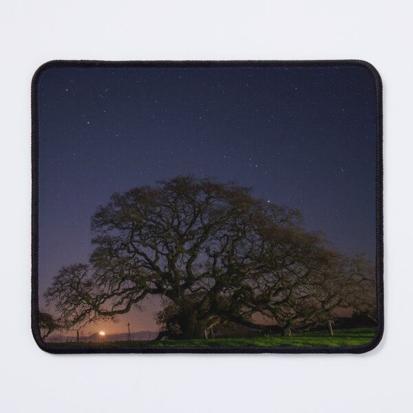 Item preview, Oak Tree and Rising Moon designed and sold by Laurel Eby.
