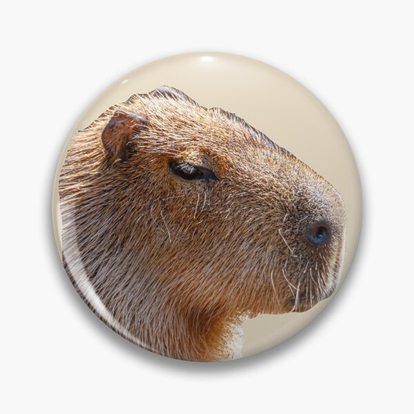 Item preview, Capybara Face just sitting around designed and sold by Dalyndigital Photography.