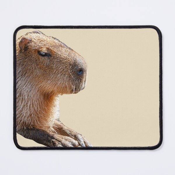 Item preview, Capybara Face just sitting around designed and sold by Dalyndigital Photography.