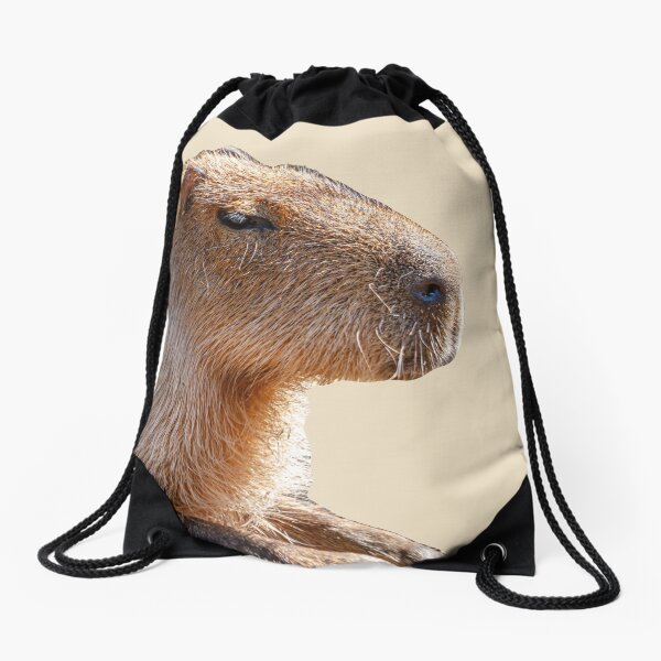 Item preview, Capybara Face just sitting around designed and sold by OwlOccasions.