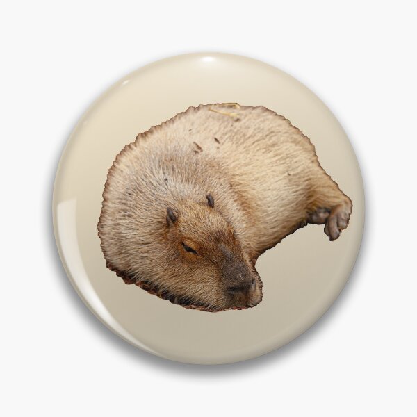 Item preview, Capy snoozing designed and sold by Dalyndigital Photography.