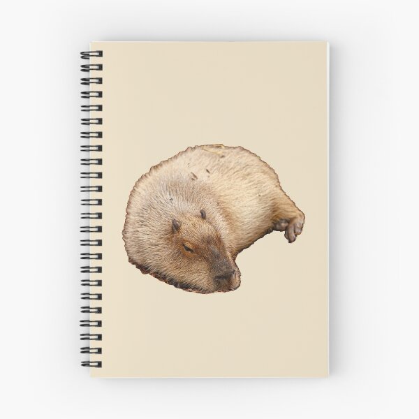 Item preview, Capy snoozing designed and sold by Dalyndigital Photography.