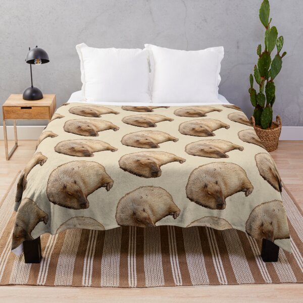Item preview, Capy snoozing designed and sold by Dalyndigital Photography.