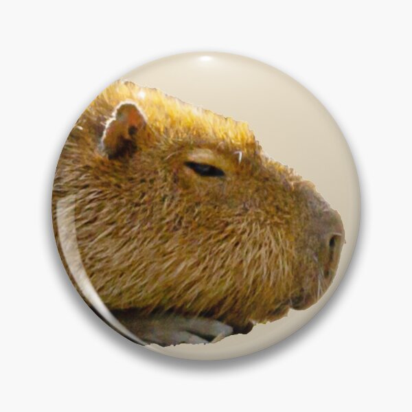 Item preview, Capybara i am hiding! designed and sold by Dalyndigital Photography.