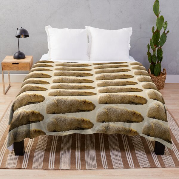 Item preview, Capybara i am hiding! designed and sold by Dalyndigital Photography.