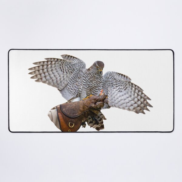 Item preview, Goshawk to Glove of a Falconer designed and sold by Dalyndigital Photography.