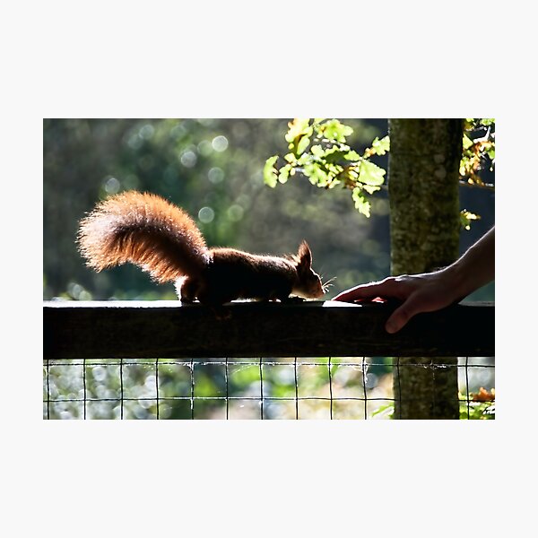 Learning Trust Photographic Print