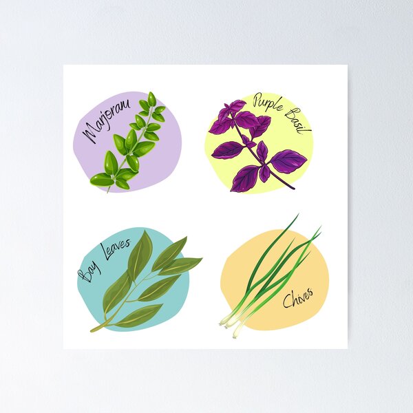 Item preview, Herb Collection part 3 Marjoram, Purple Basil, Bay Leaves and Chives designed and sold by Jennykies.