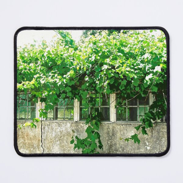 Item preview, Overgrown abandoned greenhouse designed and sold by Shulie1.