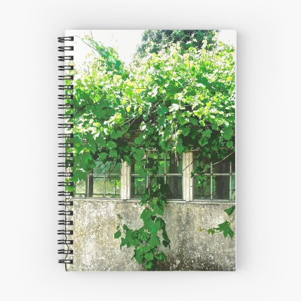 Item preview, Overgrown abandoned greenhouse designed and sold by Shulie1.