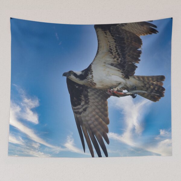 Item preview, Osprey in flight designed and sold by KDartisticeye.