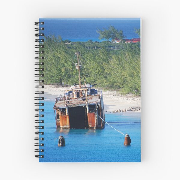 Item preview, Sinking Ship designed and sold by LexIllustration.