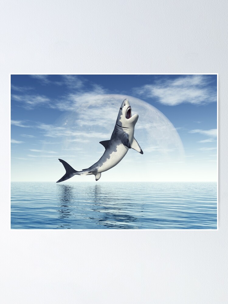 Great white shark jumps out of the water