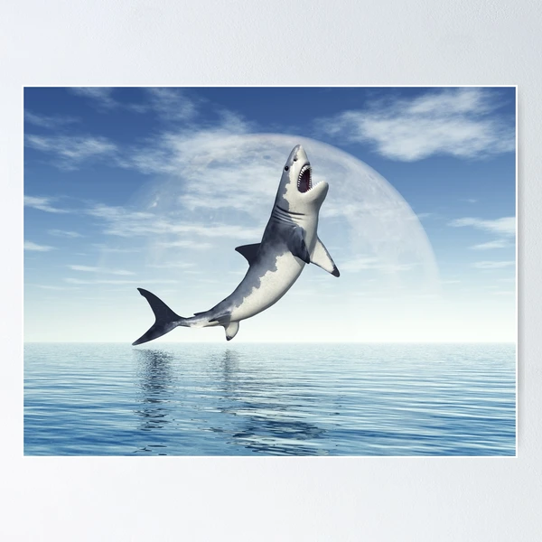 Great white shark jumps out of the water