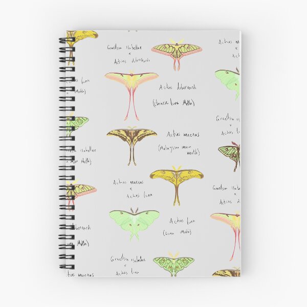 Item preview, Moon Moth varieties designed and sold by doctorbird.