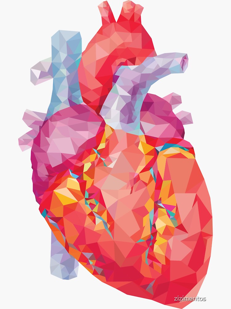 polygonal human heart illustration by zizimentos