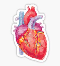 polygonale menschliche Herzillustration Sticker