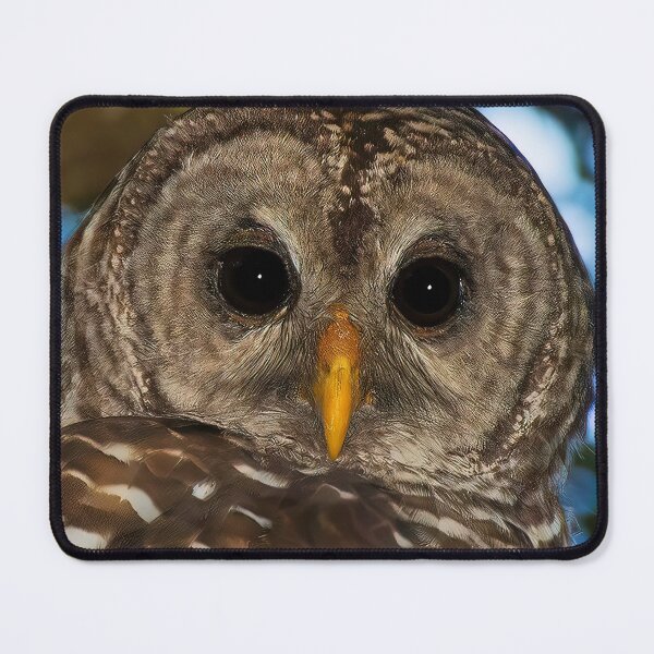 Item preview, BARRED OWL designed and sold by Joe Saladino.
